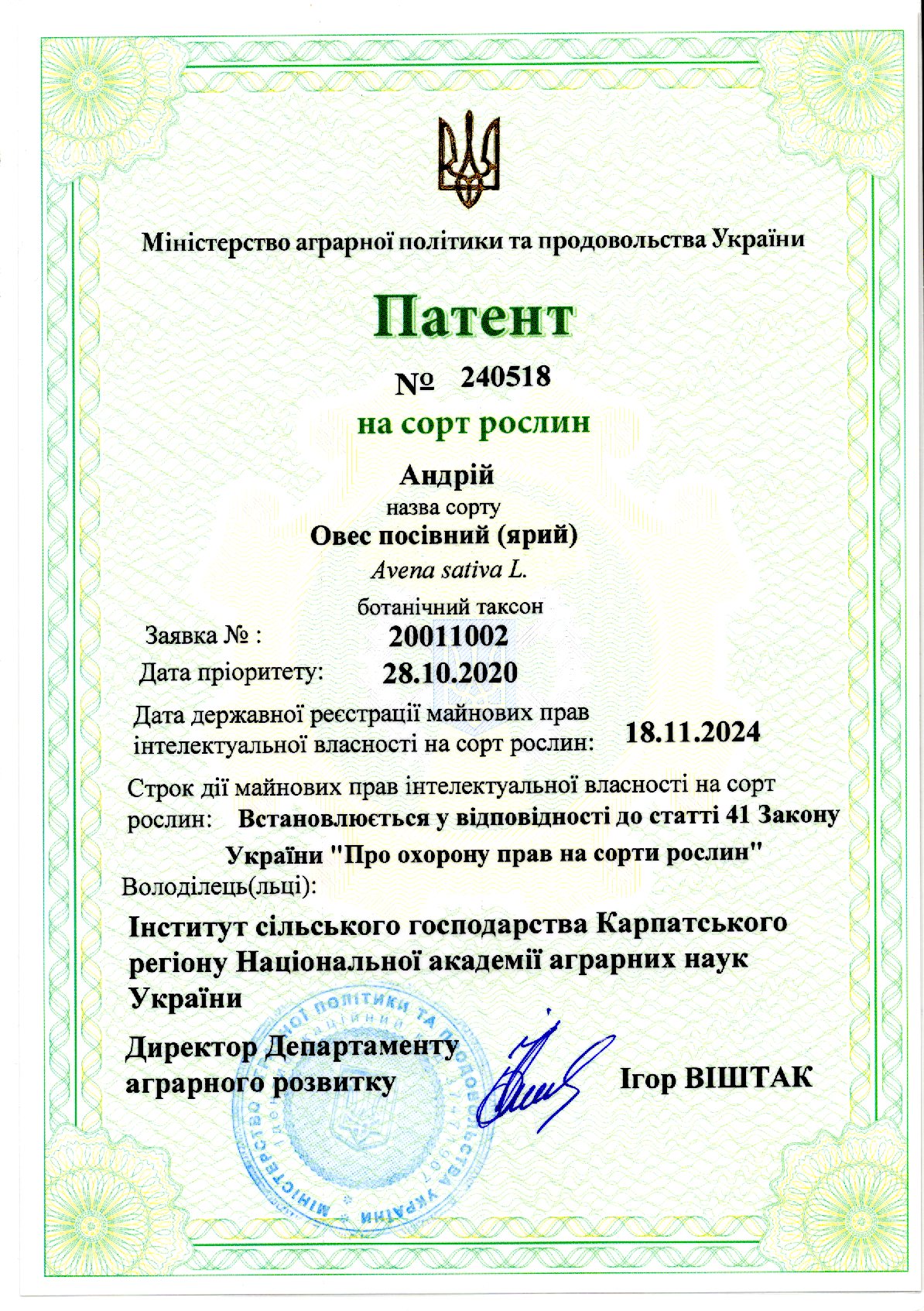 Овес посівний(ярий) Андрій