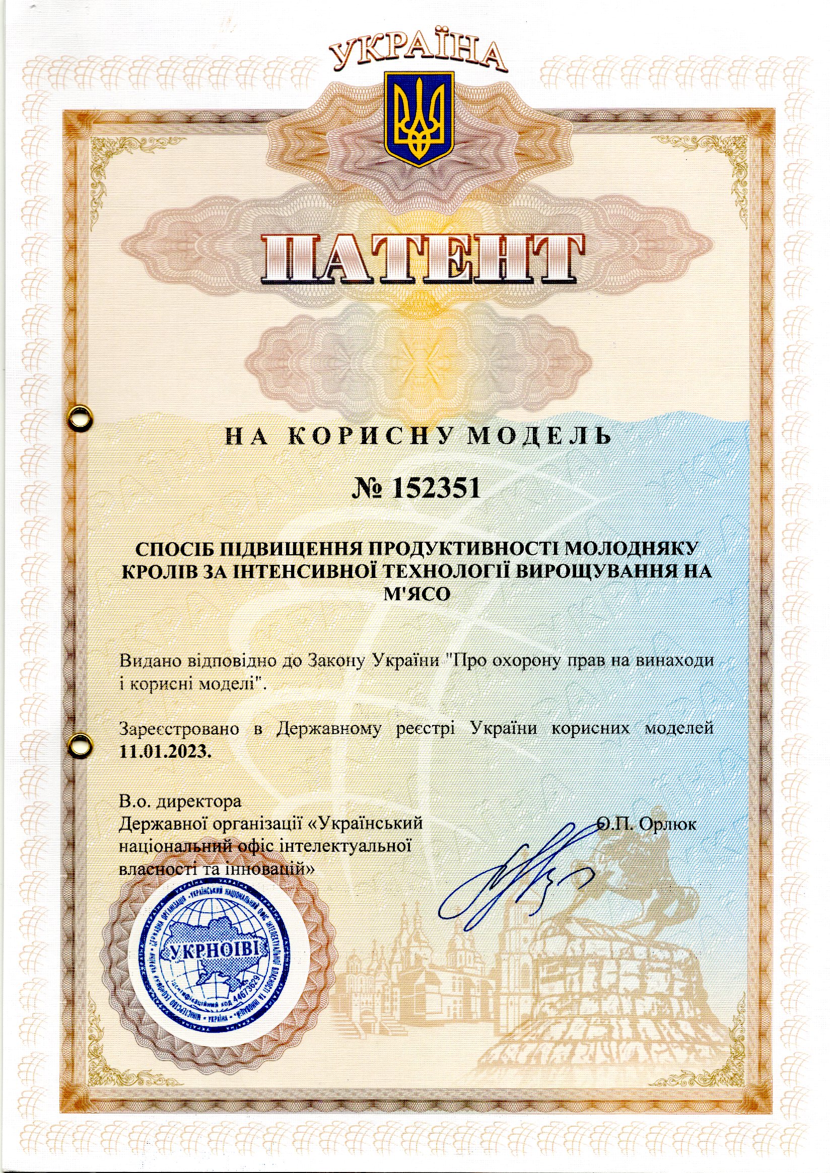 СПОСІБ ПІДВИЩЕННЯ ПРОДУКТИВНОСТІ МОЛОДНЯКУ КРОЛІВ  ЗА ІНТЕНСИВНОЇ ТЕХНОЛОГІЇ ВИРОЩУВАННЯ НА М'ЯСО