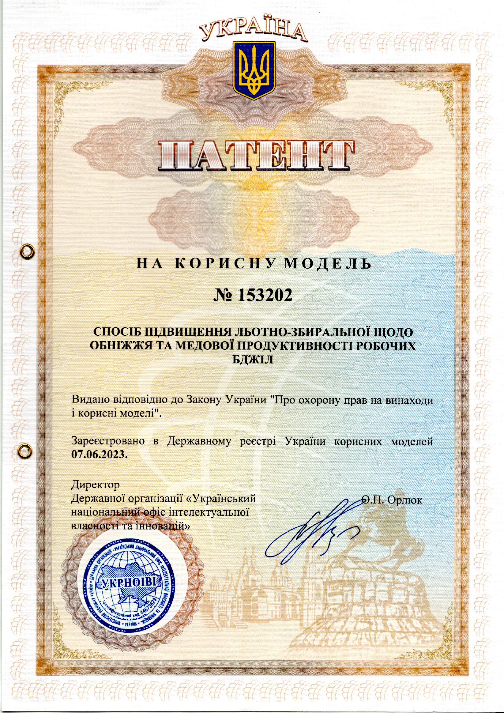 СПОСІБ ПІДВИЩЕННЯ ЛЬОТНО-ЗБИРАЛЬНОЇ ЩОДО ОБНІЖЖЯ  ТА МЕДОВОЇ ПРОДУКТИВНОСТІ РОБОЧИХ БДЖІЛ