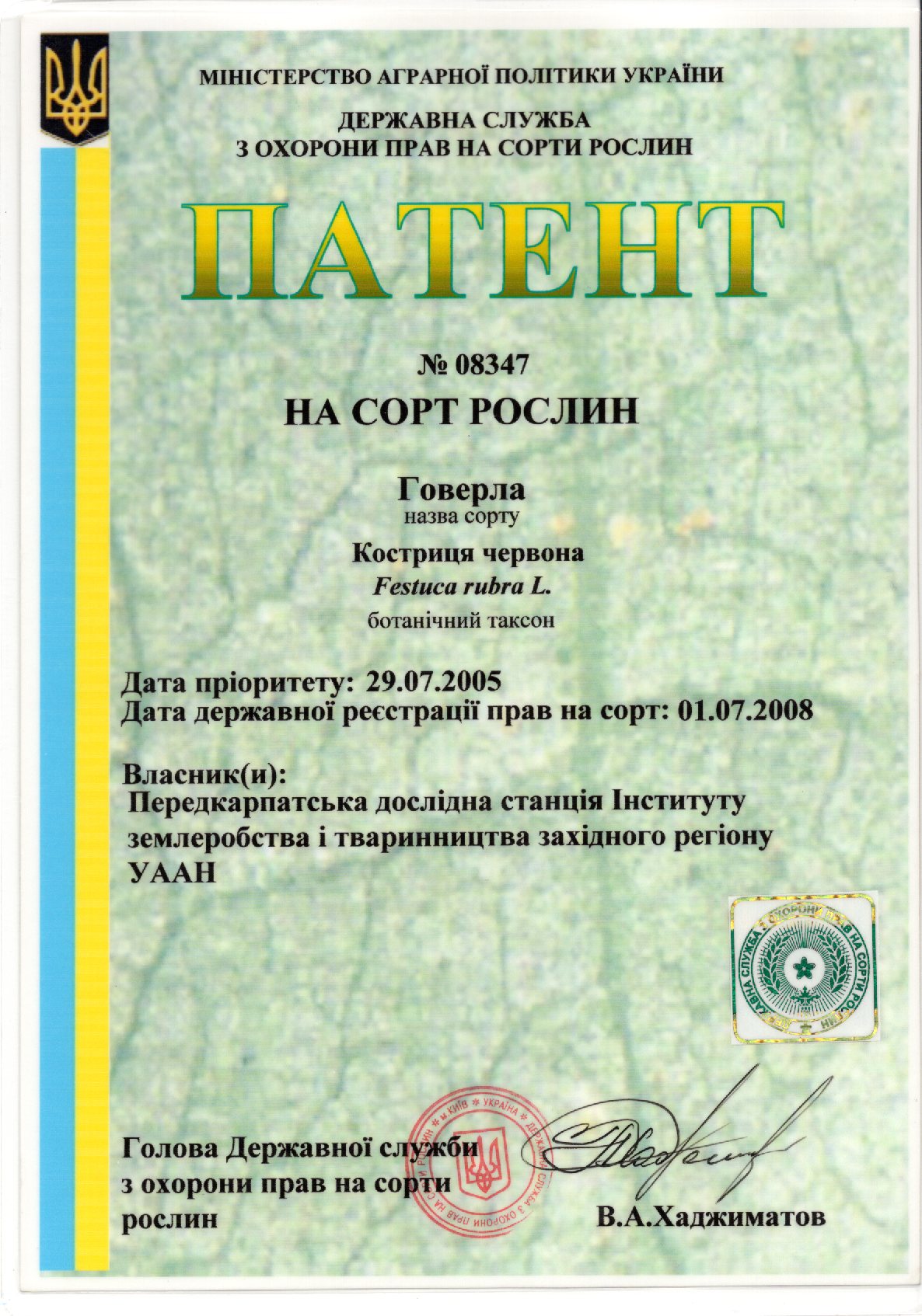 Костриця червона Сорт ГОВЕРЛА