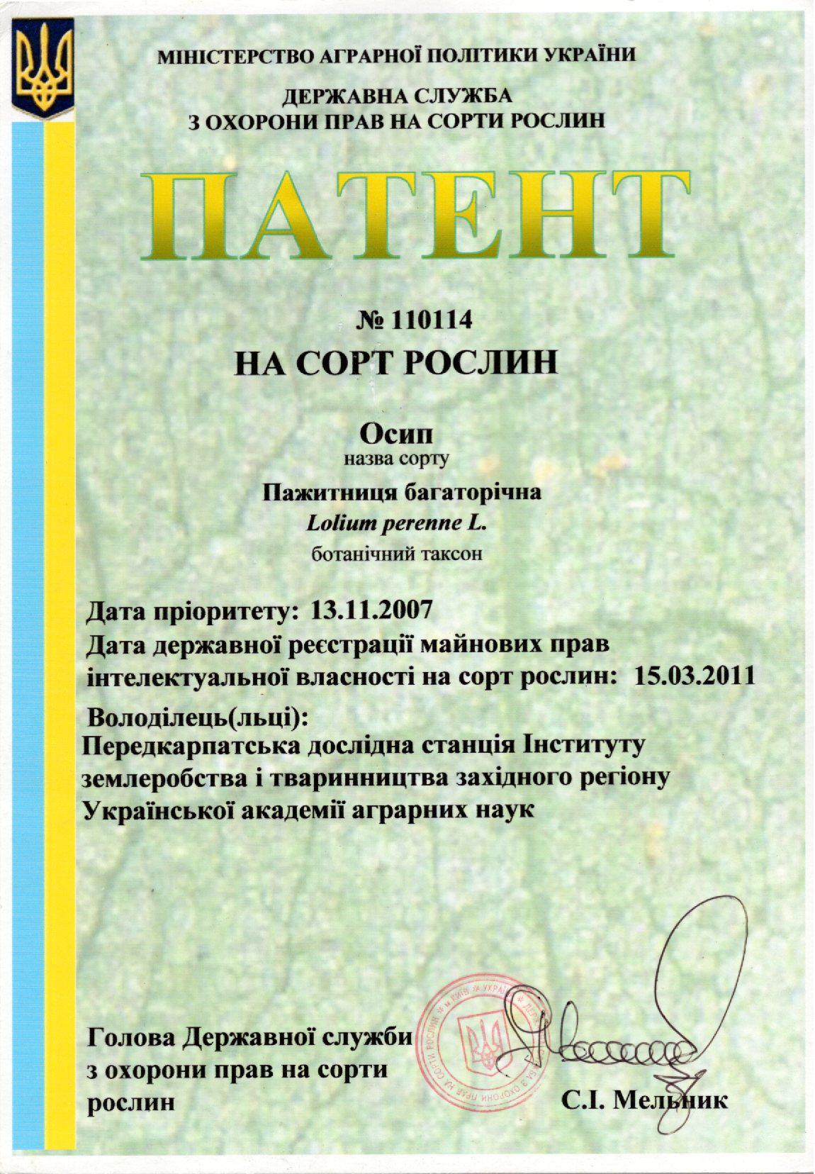 пажитниця багаторічна Сорт ОСИП