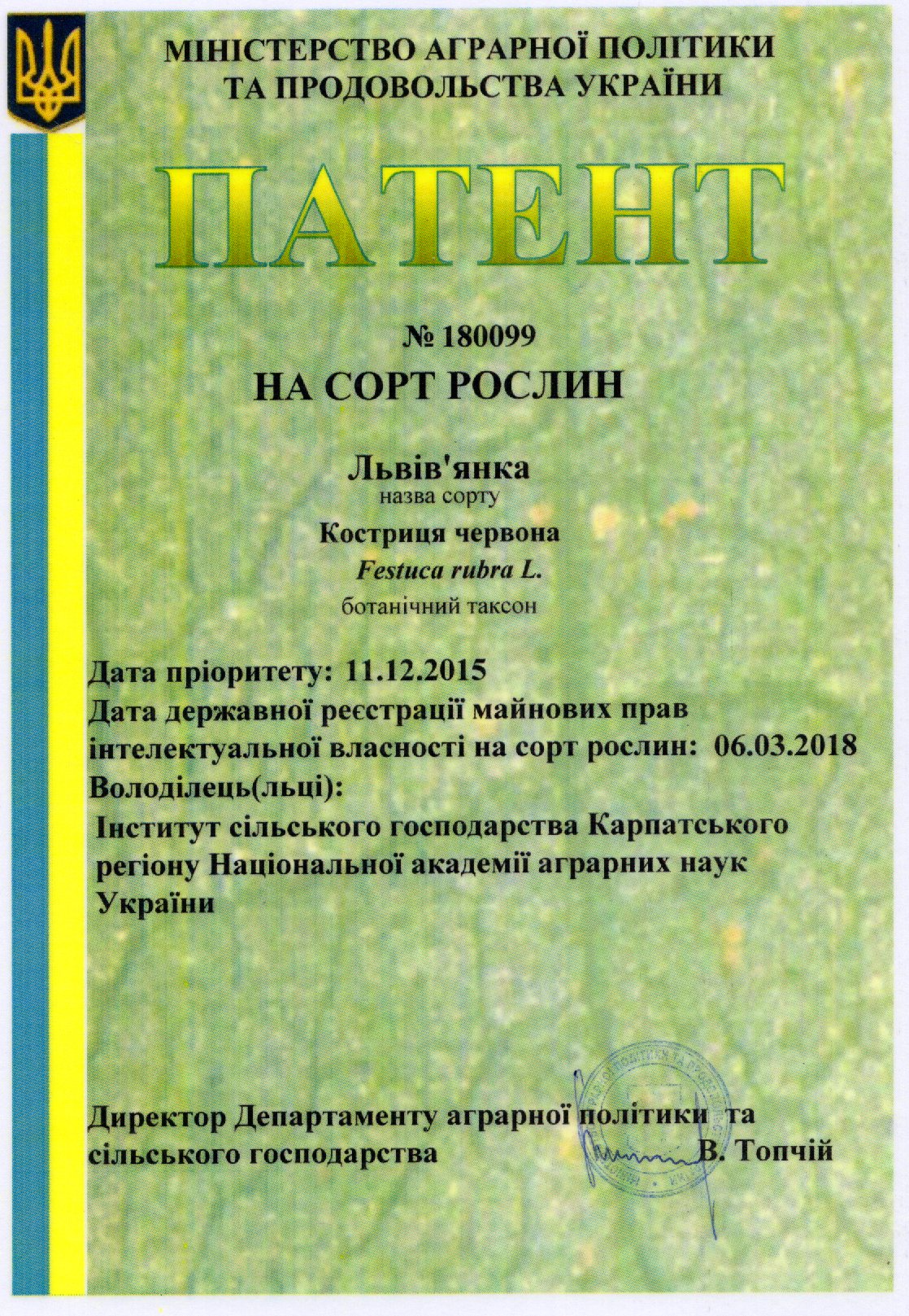 Костриця червона Сорт ЛЬВІВ’ЯНКА