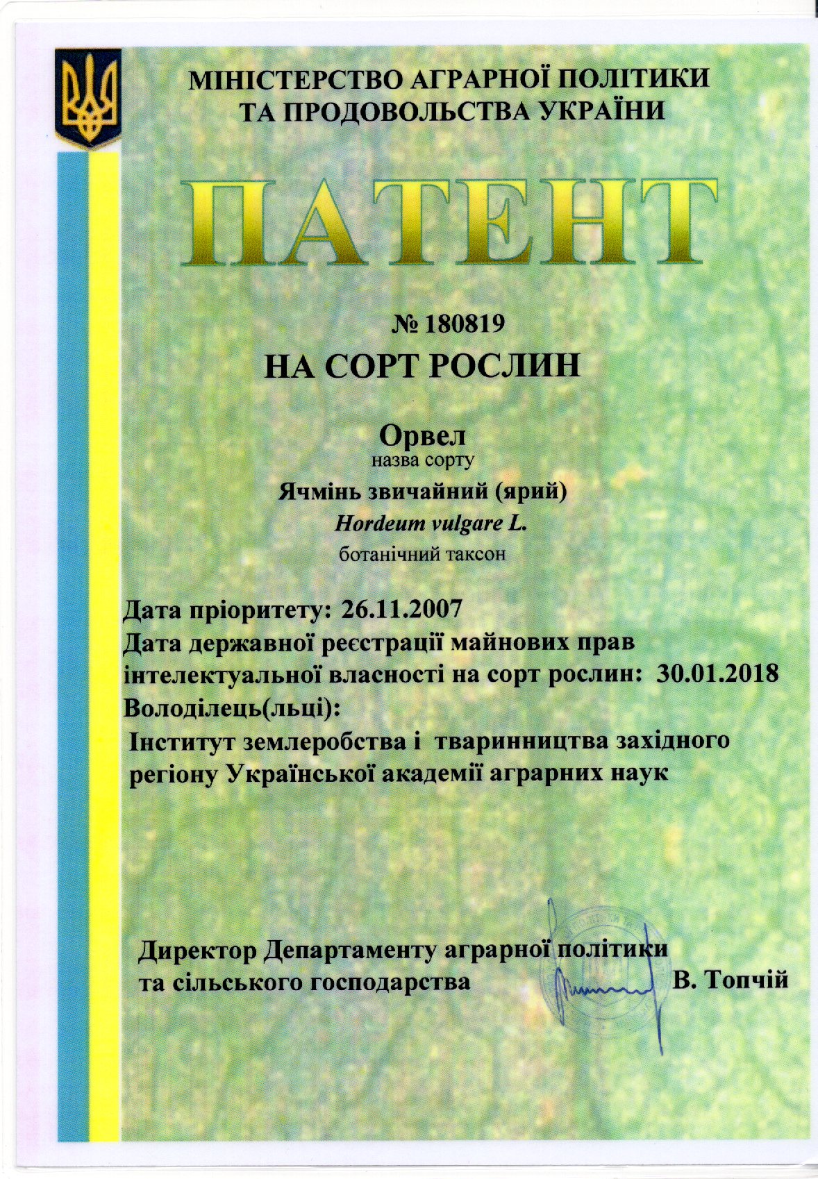 Ячмінь звичайний(ярий) сорт Орвел