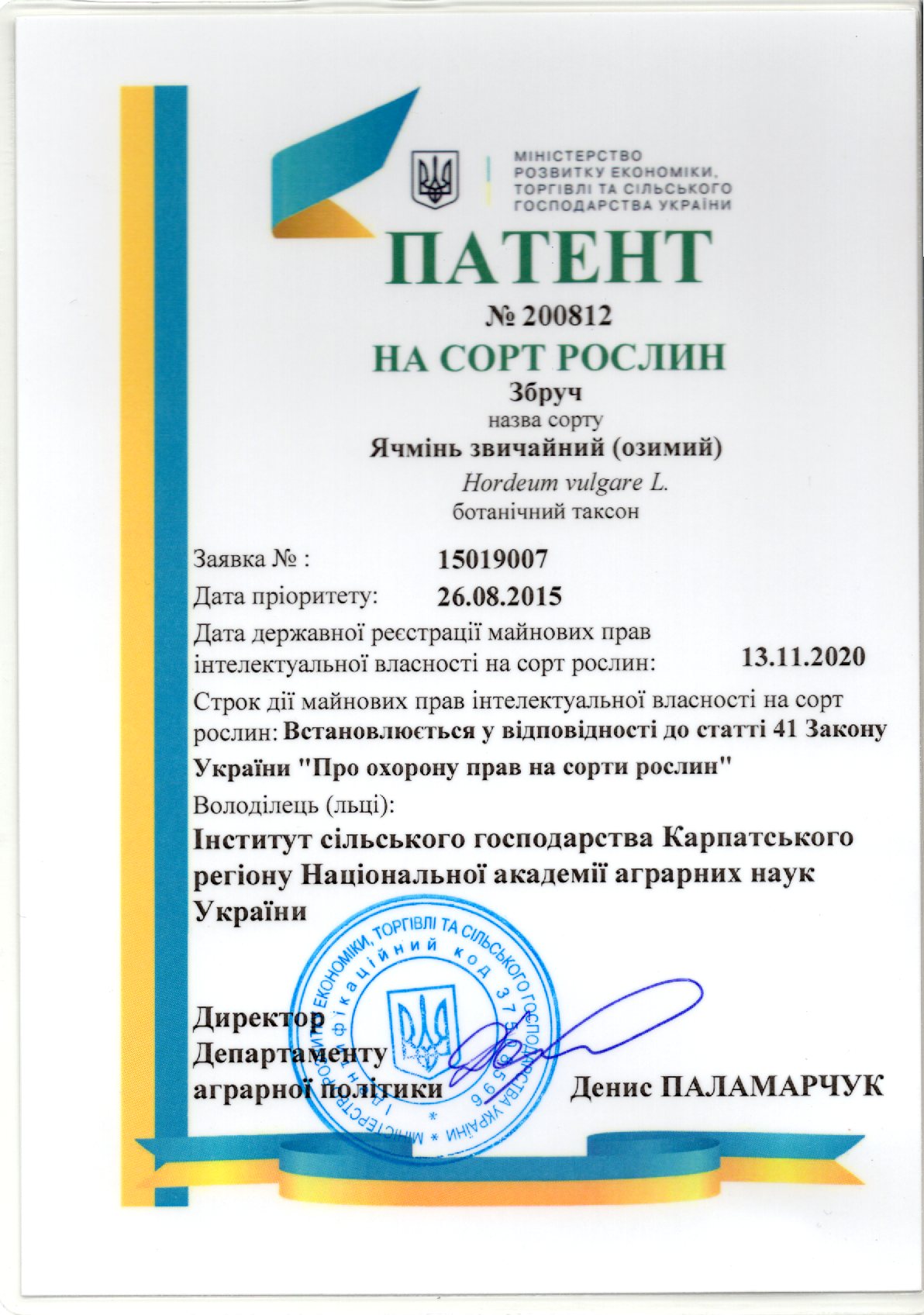 Ячмінь звичайний (озимий) сорт Збруч