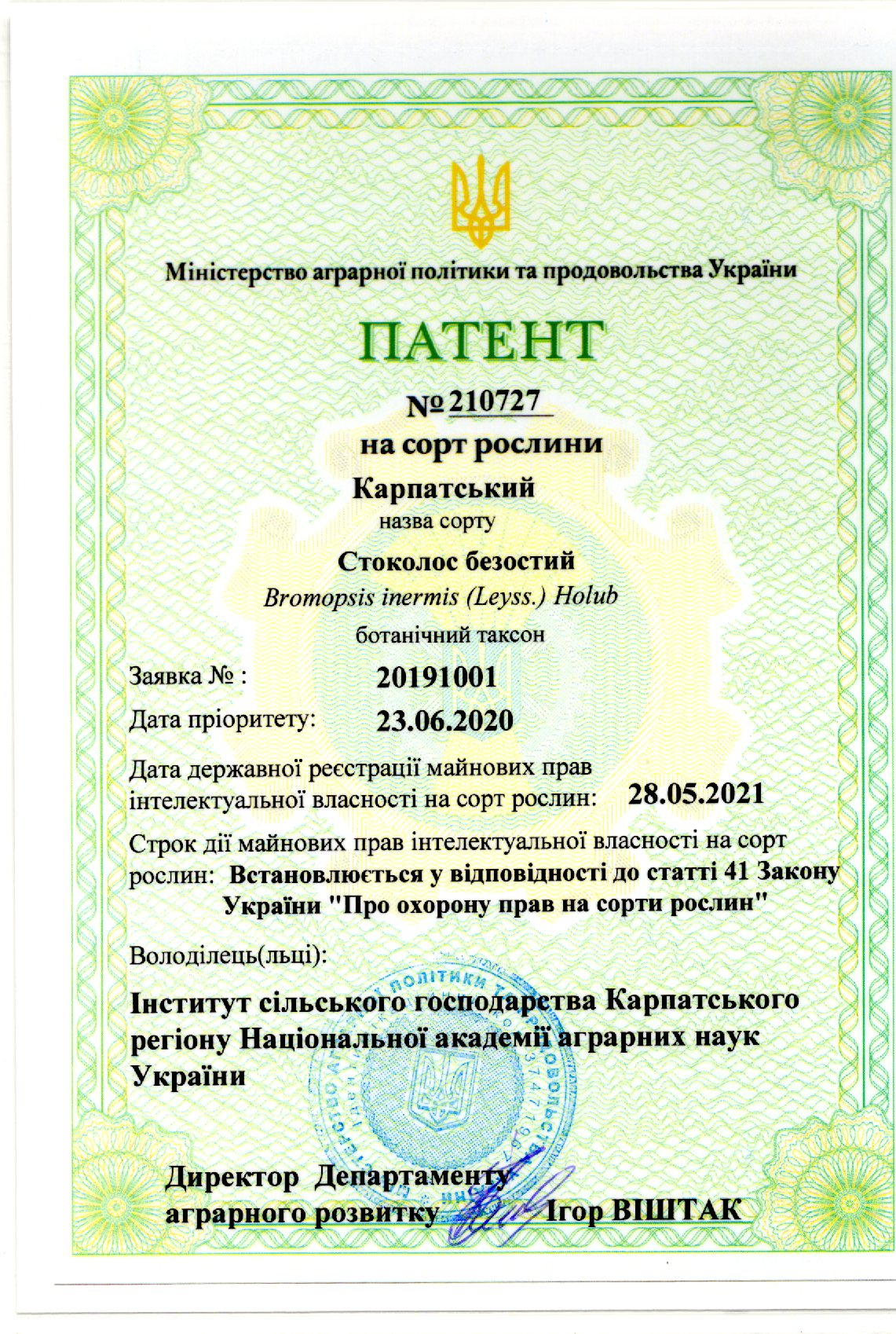 Стоколос безостий Карпатський