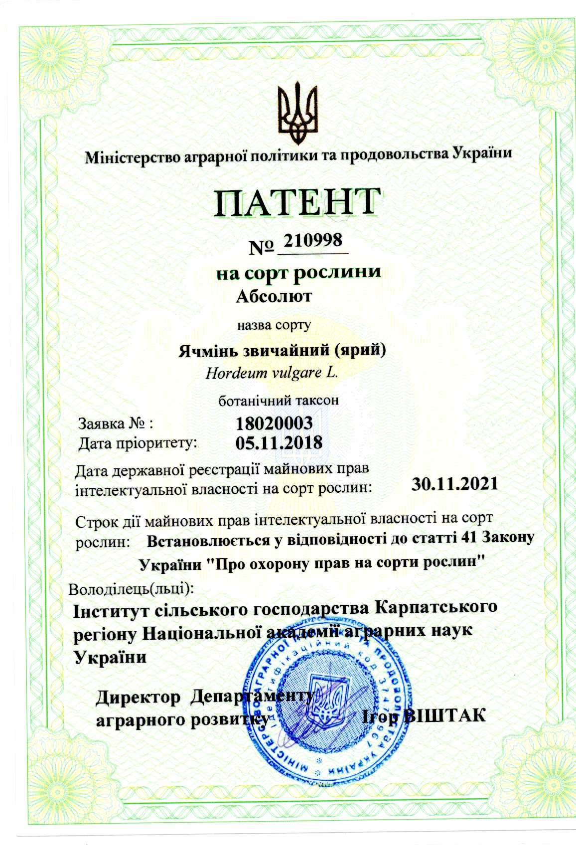 Ячмінь звичайний((ярий) Сорт Абсолют