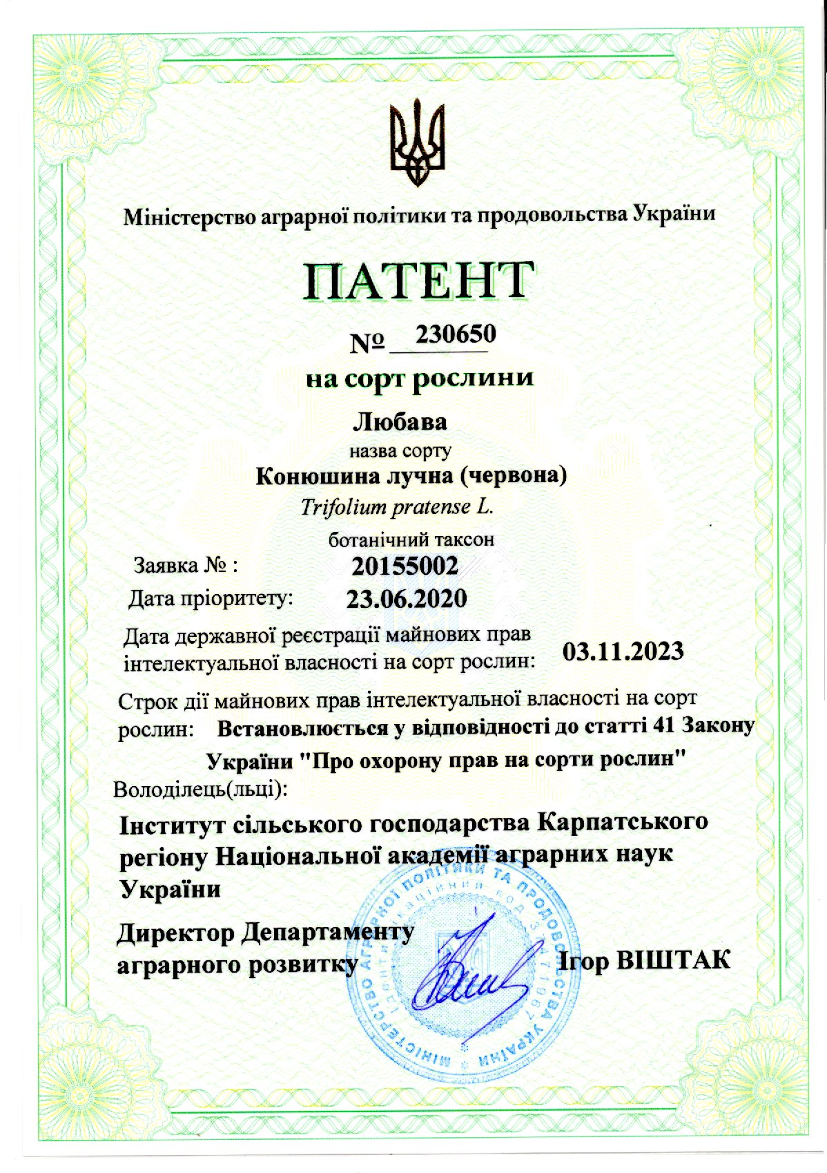 Конюшина лучна(Червона) Сорт ЛЮБАВА