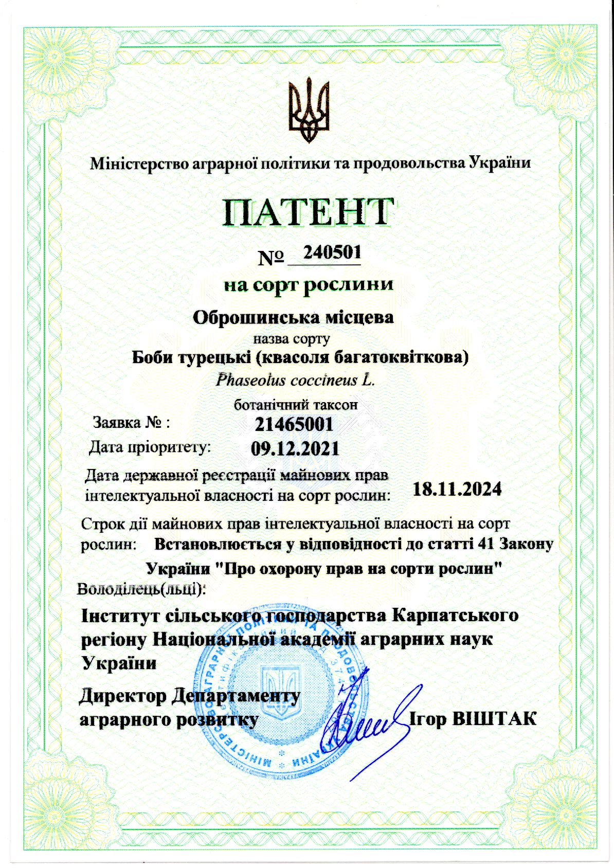 Боби турецькі(квасоля багатоквіткова) Оброшинська місцева