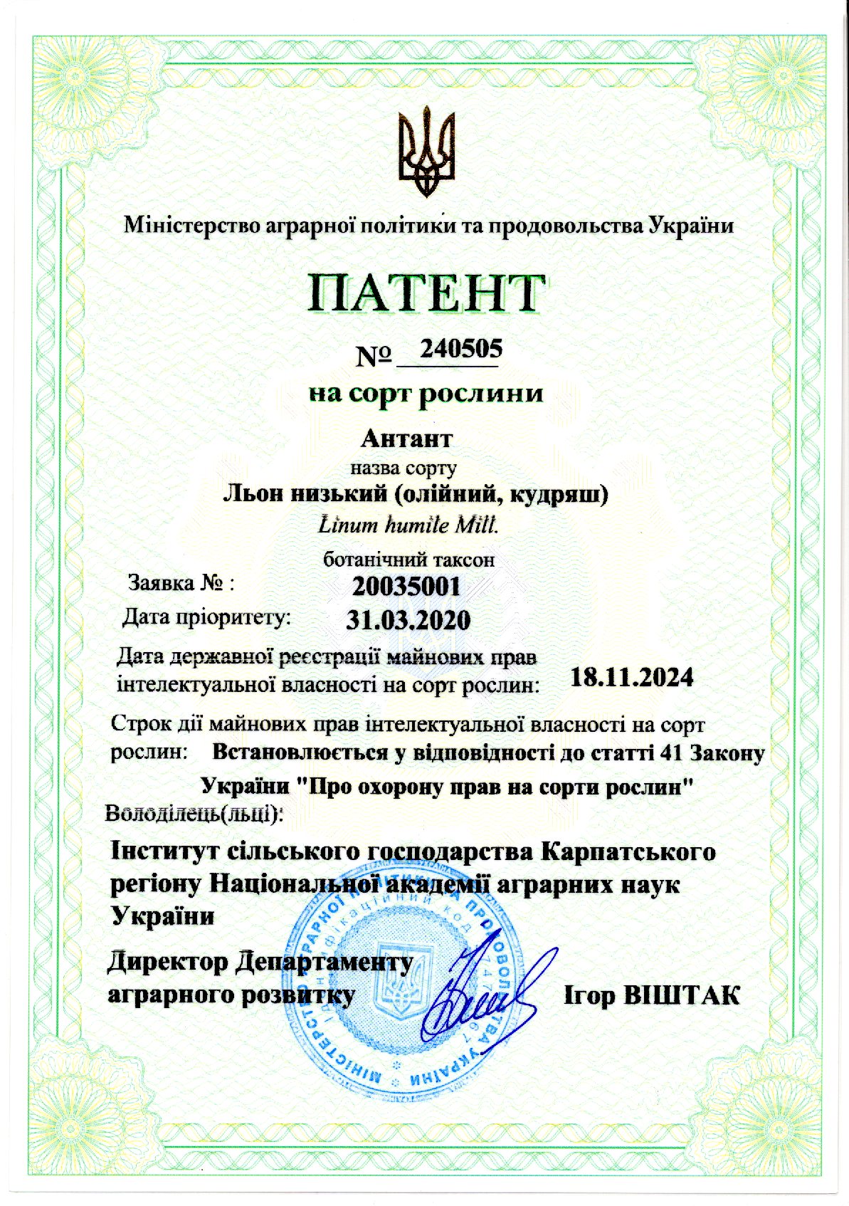 Льон низький (олійний, кудряш)
