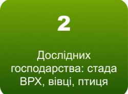 2<br /> <br />